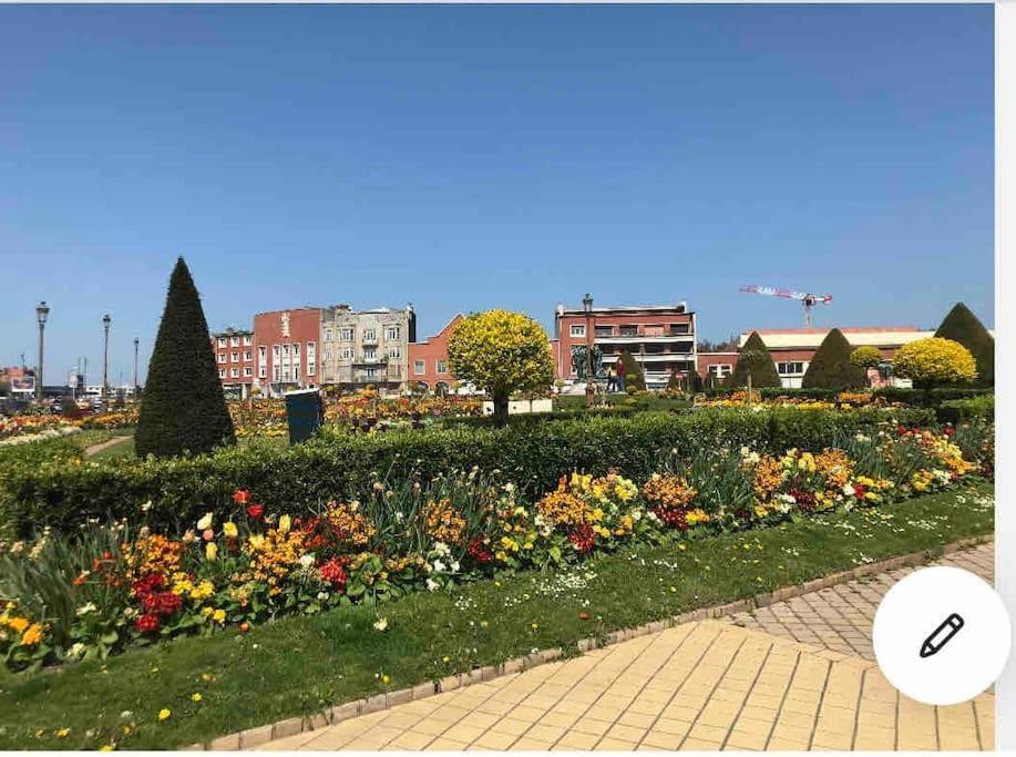 Casa Inca Calais - Duplex Soleil Latino - Parking Free, Station Daire Dış mekan fotoğraf
